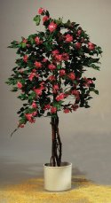 Bougenvilia červená, 240cm - rozbaleno (82507058) Bougenvilia červená, 240cm - rozbaleno (82507058)