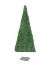 Jedle plochá, světle zelená, 120cm