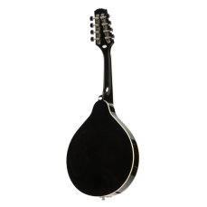 Stagg M20 S, bluegrassová mandolína, polomasiv