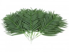Kokosový palmový list krátký, 80 cm, 12 ks