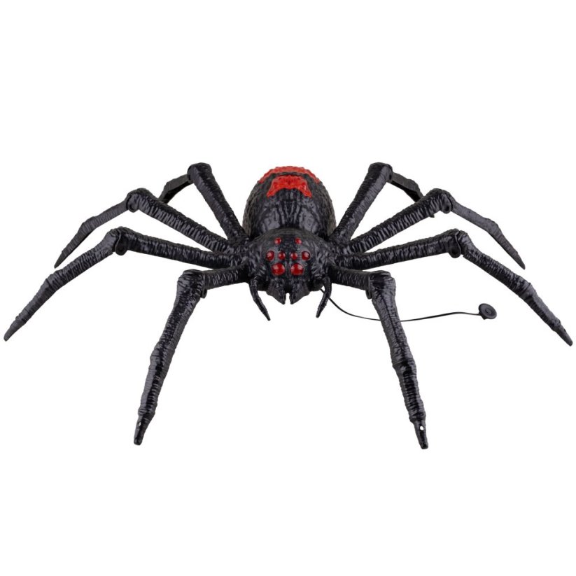 Tarantule 