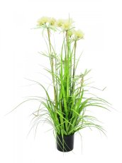 Jarní tráva v květináči, 120 cm