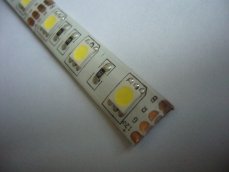 LED páska SMD5050, studená bílá, 12V, 1m, IP54, 60 LED/m
