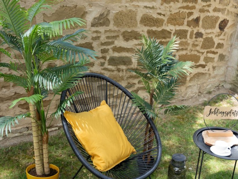 Palma Areca, 3 kmeny, 150 cm