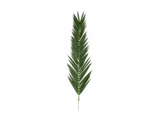 Palma list - kokos královský (kus), 210 cm Palma list - kokos královský (kus), 210 cm