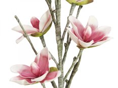 Větvička magnolie růžovobílá, 100 cm