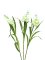 EUROPALMS Sada arum, 3 větve s LED bílé 85cm