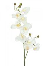 Orchidej větvička, krémově-bílá, 100 cm Orchidej větvička, krémově-bílá, 100 cm